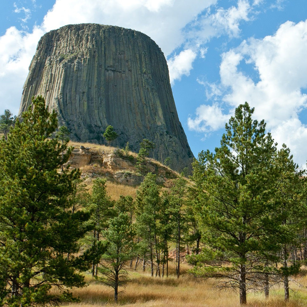 Badlands to Yellowstone
