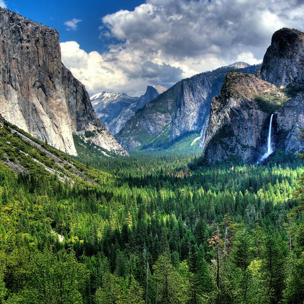 California Crown Jewels : Yosemite, King's Canyon and Sequoia