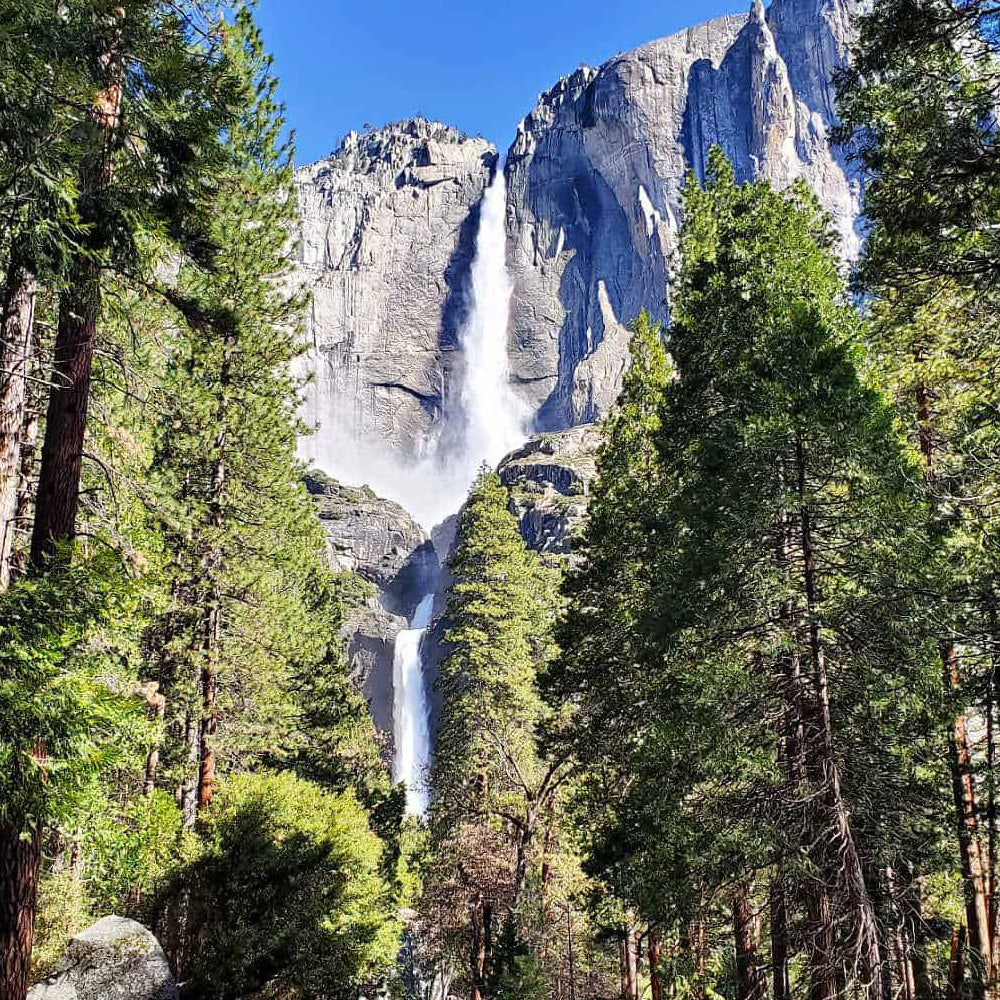 Full Day in Yosemite National Park