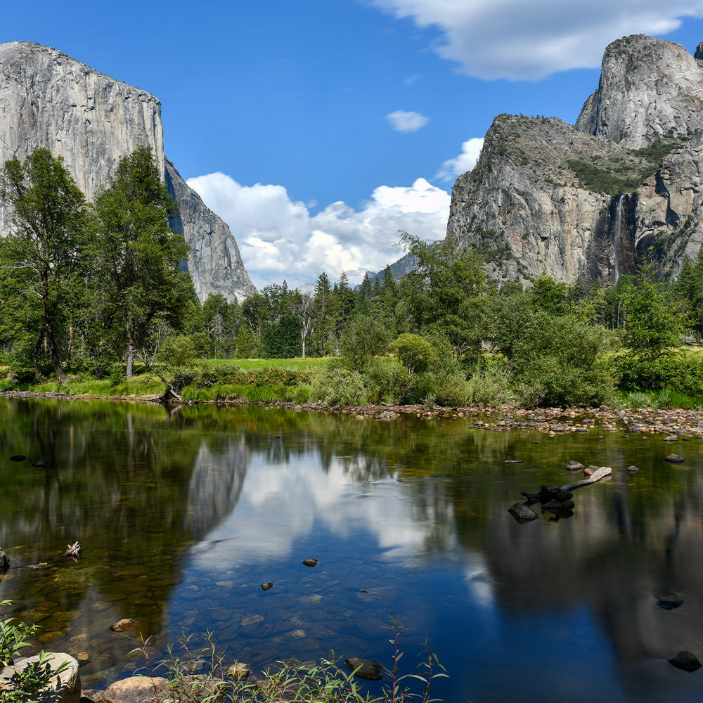 ARRIVE AT YOSEMITE NATIONAL PARK