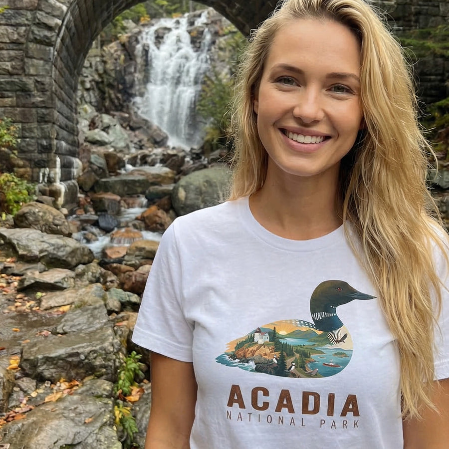 Acadia – Coastal Loon - T-Shirt
