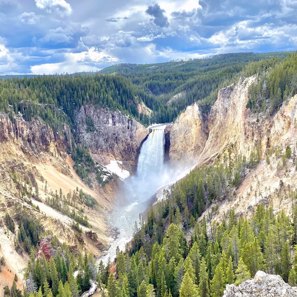 Yellowstone NP - Day 3