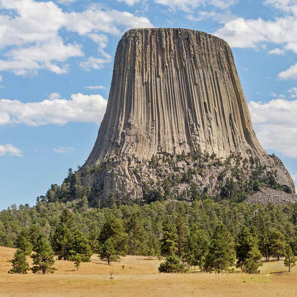 Devils Tower NM