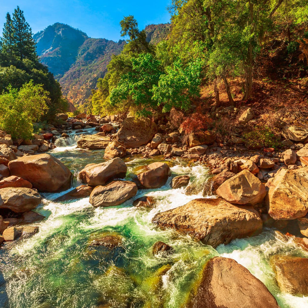 KINGS CANYON NP