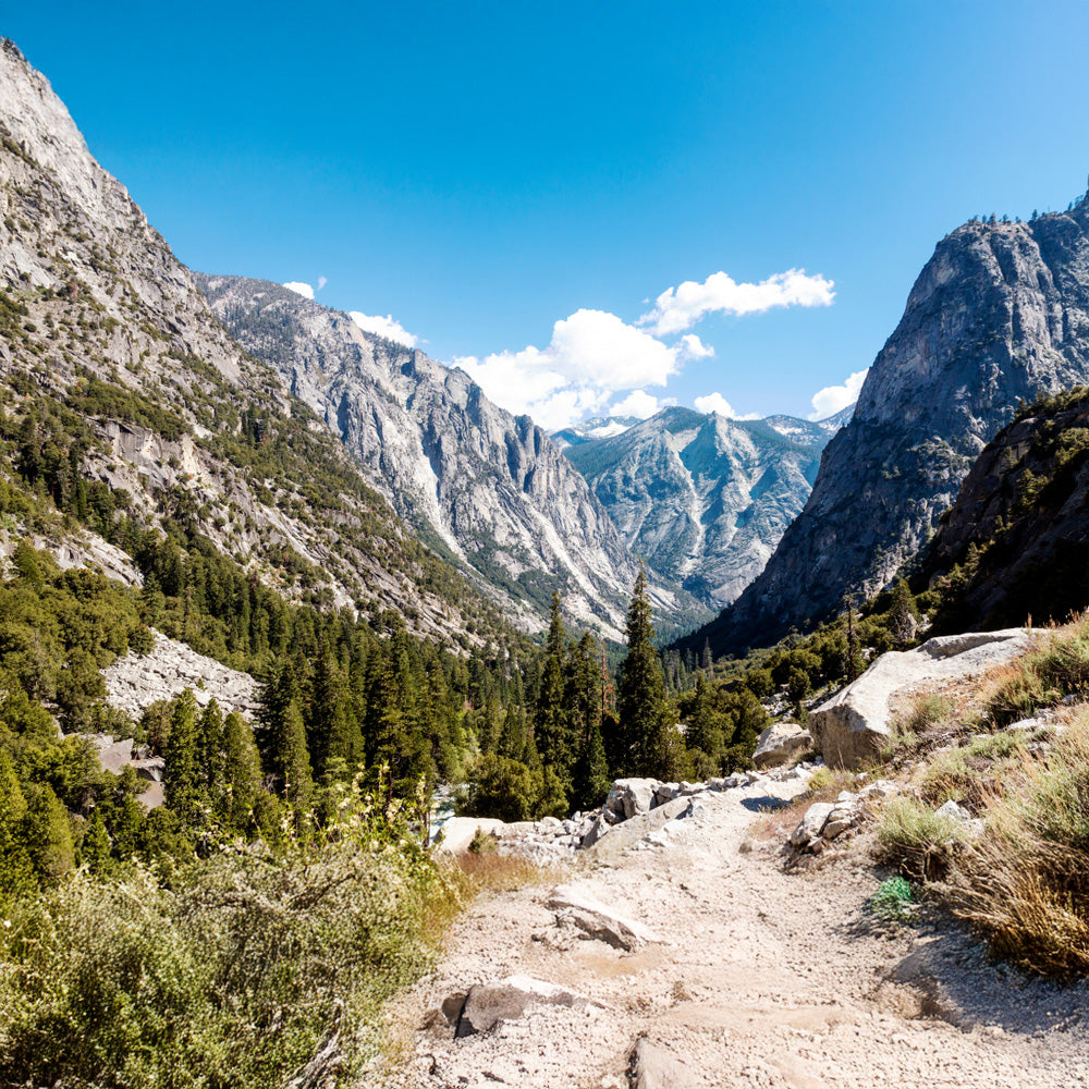 California Crown Jewels : Yosemite, King's Canyon and Sequoia