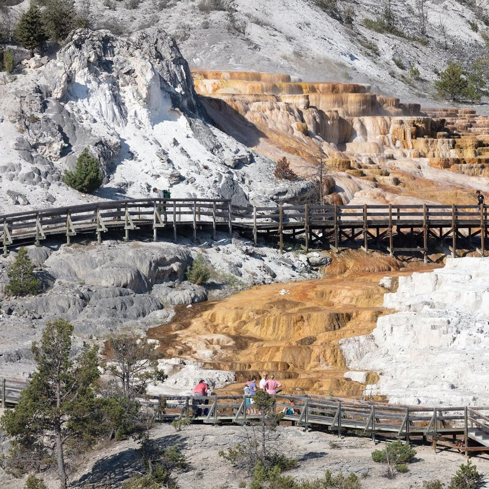 Yellowstone NP - Day 2