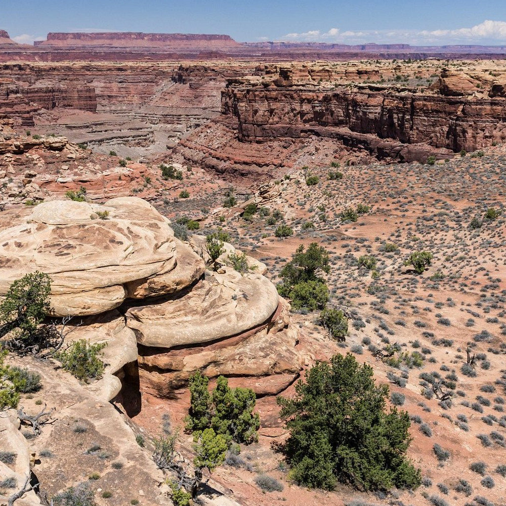 Canyonlands NP - Needles District