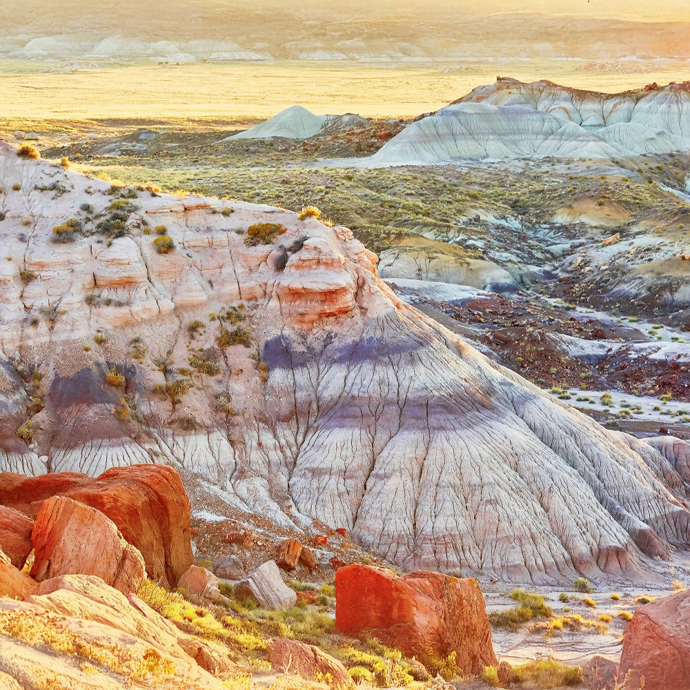 Petrified Forest, the Painted Desert & Winslow, Arizona