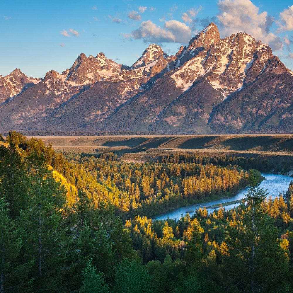 Badlands to Yellowstone
